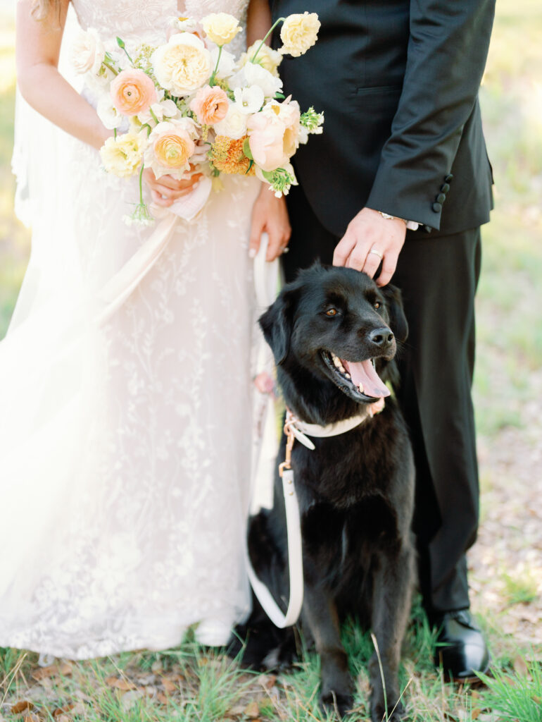 Black dog with bride and groom on wedding day