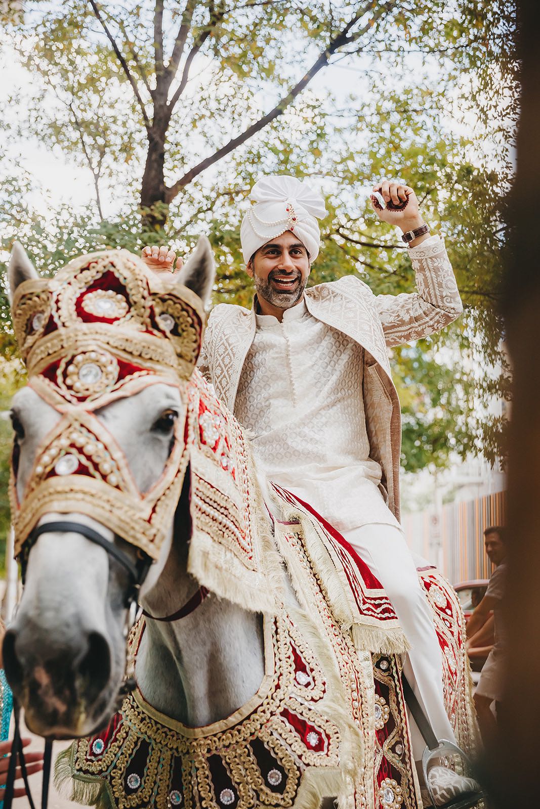 baraat horse through downtown austin